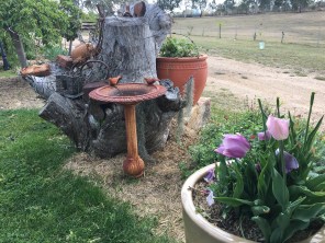 Photo 10-10-17, 11 31 44 am